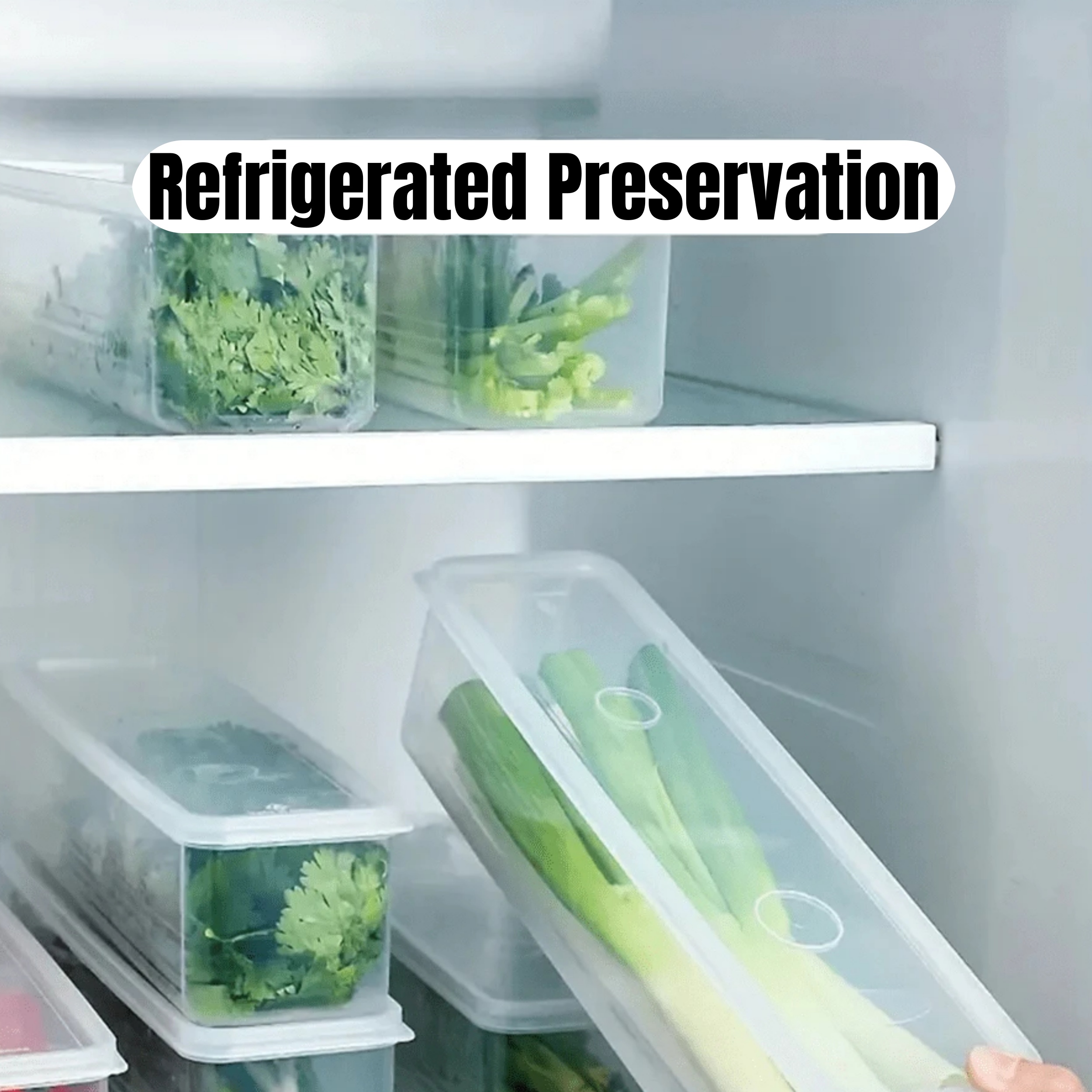 1/2/4Pcs Refrigerator Storage  – Commercial Kitchen Refrigerator Bewertung und Preis